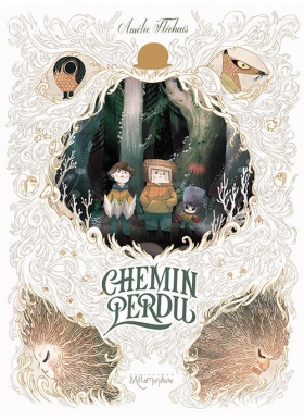 couverture jeu-video Chemin perdu T1