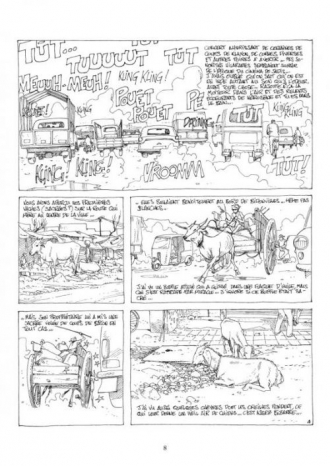 extrait bande-dessinee Incredible India