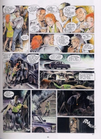 extrait bande-dessinee (intégrale)