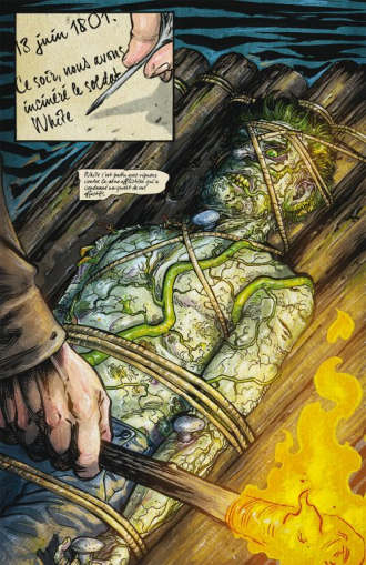 extrait comics Chiroptères et carnivores