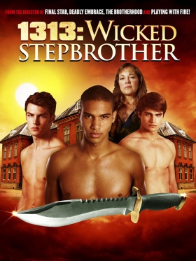 couverture film 1313 : Wicked Stepbrother