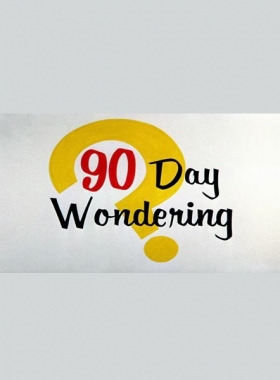 couverture film 90 Day Wondering