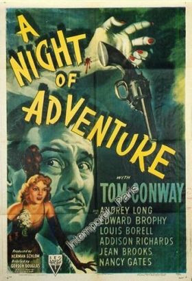 couverture film A Night of Adventure