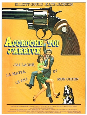 couverture film Accroche-toi, j'arrive