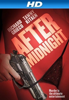 couverture film After Midnight