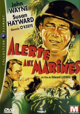 couverture film Alerte aux marines