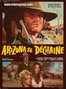 couverture film Arizona se déchaîne