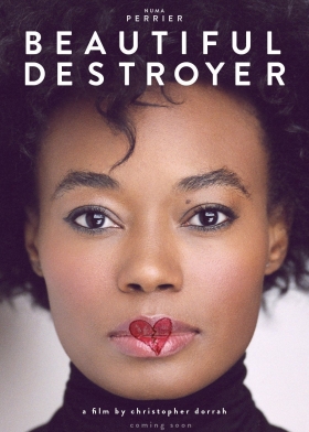 couverture film Beautiful Destroyer