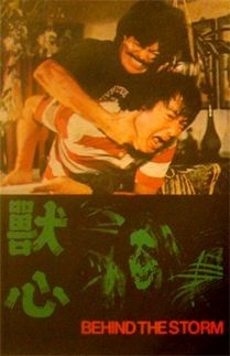 couverture film Behind the Storm