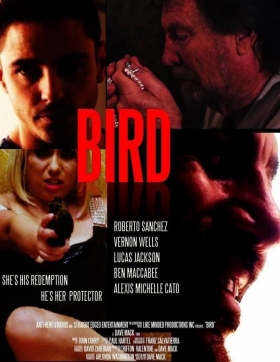 couverture film Bird
