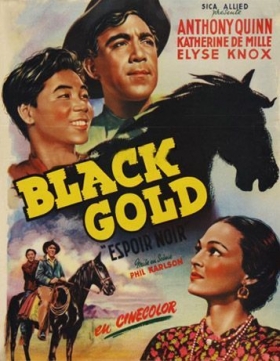 couverture film Black Gold