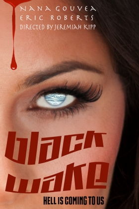 couverture film Black Wake
