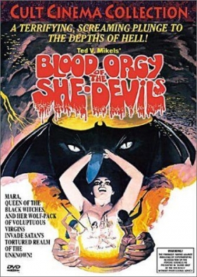 couverture film Blood Orgy of the she Devils