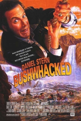 couverture film Bushwhacked