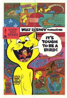couverture film C'est pas drôle d'être un oiseau