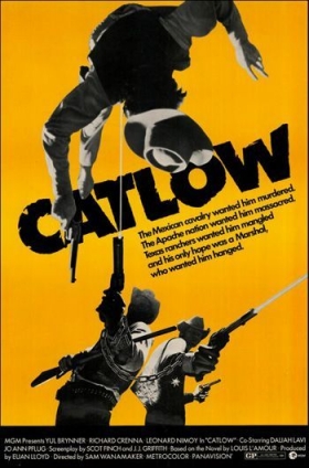couverture film Catlow