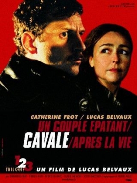 couverture film Cavale