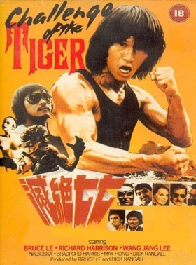 couverture film Challenge of the Tiger
