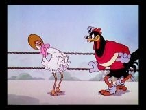 couverture film Cock o' the Walk