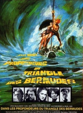 couverture film Dans les Profondeurs du Triangle des Bermudes