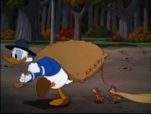 couverture film Donald Forestier