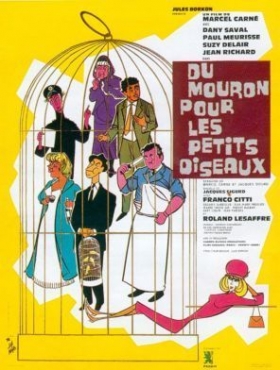couverture film Du mouron pour les petits oiseaux