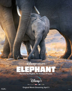 couverture film Elephant