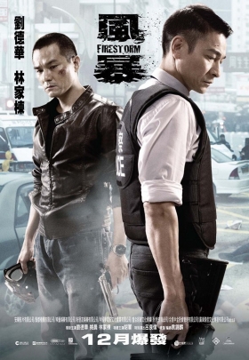 couverture film Firestorm
