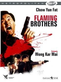 couverture film Flaming Brothers