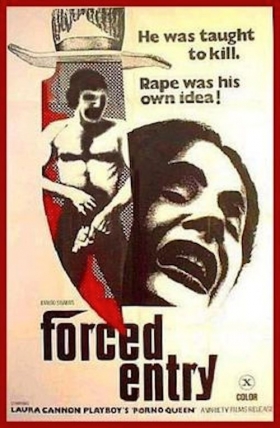 couverture film Forced Entry