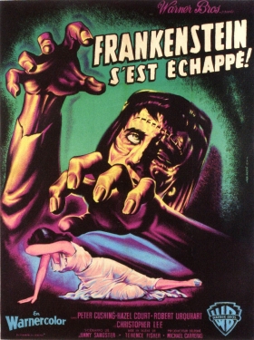 couverture film Frankenstein s'est échappé