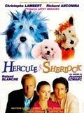 couverture film Hercule et Sherlock