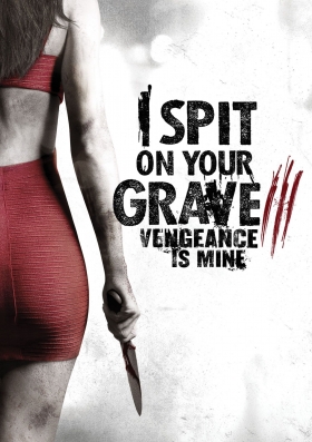 couverture film I Spit on Your Grave 3