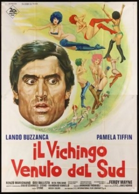 couverture film Il vichingo venuto dal sud