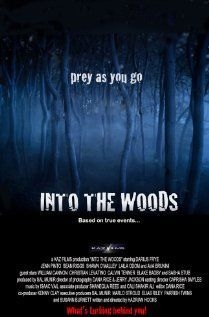couverture film Into the Woods