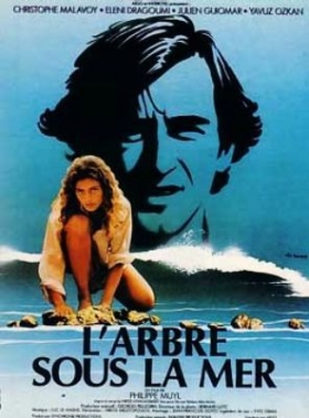 couverture film L'Arbre sous la mer
