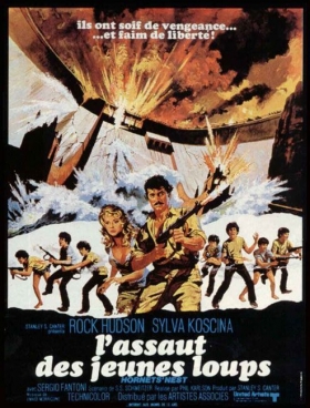 couverture film L'assaut des jeunes loups