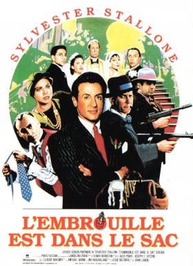 couverture film L'Embrouille est dans le sac