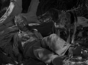 couverture film La Chasse au paradis