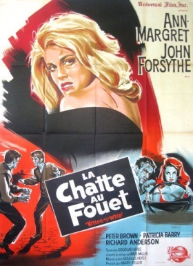 couverture film La chatte au fouet
