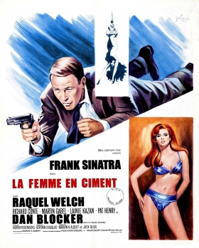 couverture film La Femme en ciment