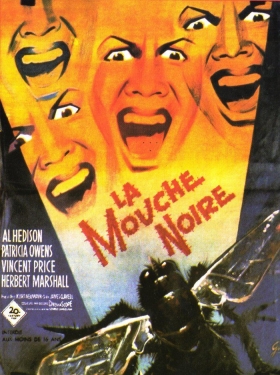 couverture film La Mouche noire