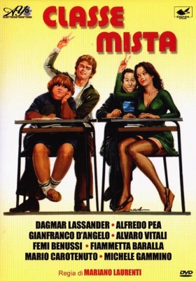 couverture film La prof et les farceurs de l'école mixte