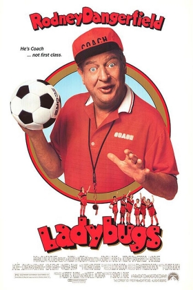 couverture film Ladybugs