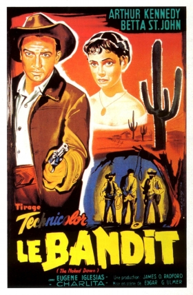 couverture film Le Bandit