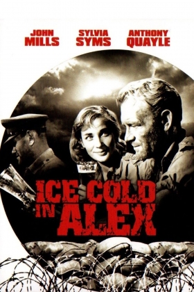 couverture film Le désert de la peur