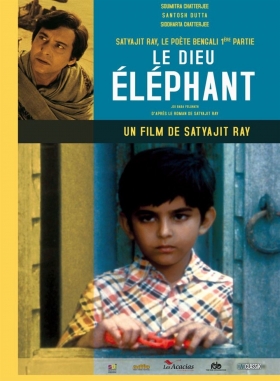 couverture film Le dieu éléphant
