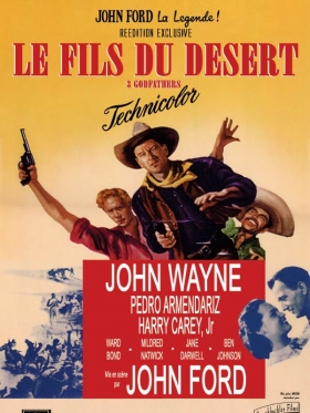 couverture film Le Fils du désert