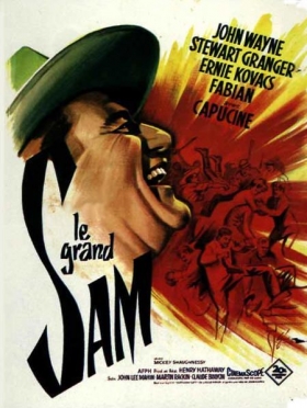 couverture film Le grand Sam