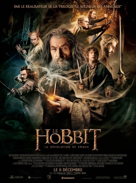 couverture film Le Hobbit : La Désolation de Smaug